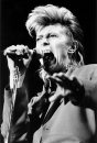 David Bowie ... 