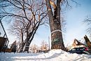 MIKE SUDOMA / ... 