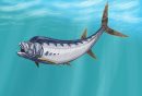 xiphactinus  - ... 