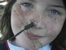 Carolyn Kavanagh(10) had this large dragonfly land on her while spending time at Winnetka Lake, Ontario. photo by Andrea Kavanagh (mom0 show us your summer winnipeg free press