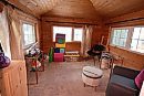 Todd Lewys / ... 