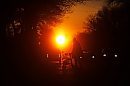 Silhouetted ... 