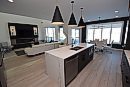 Todd Lewys / ... 