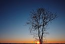 20012025
The ... 