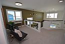 Todd Lewys / ... 