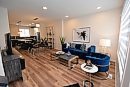 Todd Lewys / ... 