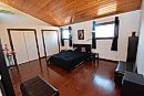 Todd Lewys / ... 