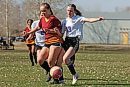 29042025
Lily ... 