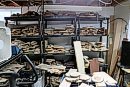 A rack of ... 