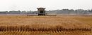A combine ... 