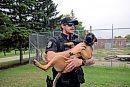 K9 unit ... 