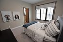 Todd Lewys / ... 