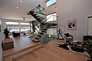 Todd Lewys / ... 