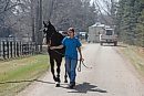 Horses were ... 
