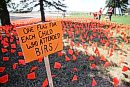 Orange flags ... 