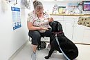 Veterinarian ... 