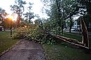 09062026
A ... 