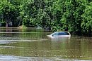MIKE DEAL / ... 