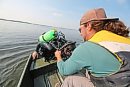 A diver with ... 