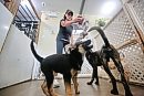Brandon Humane ... 