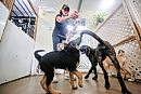 Brandon Humane ... 