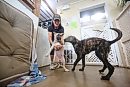Brandon Humane ... 