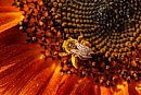04082026
A bee ... 