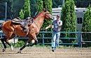 A horseman ... 