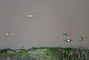 Kayakers and ... 