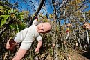 A doll hangs ... 