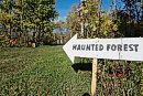 The Haunted ... 