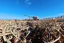 A combine ... 