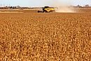 A combine ... 