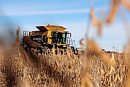 A combine ... 