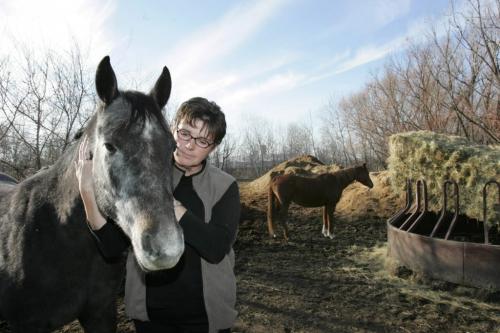 STEINBACH: NOVEMBER 17, 2004: KAREN SAINDON Karen Saindon, of Ste. Anne,gives a therapeutic massage to Tommie, her three year old horse at AliDale Farms, just northeast of Steinbach, MB, on Wednesday afternoon. For story by Bill Redekop Photo by Marianne Helm/Winnipeg Free Press