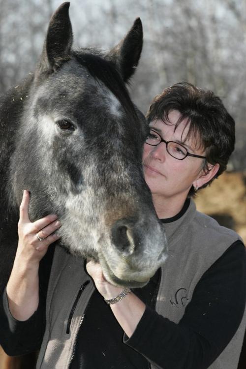 STEINBACH: NOVEMBER 17, 2004: KAREN SAINDON Karen Saindon, of Ste. Anne, gives a therapeutic massage to Tommie, her three year old horse at AliDale Farms, just northeast of Steinbach, MB, on Wednesday afternoon. For story by Bill Redekop Photo by Marianne Helm/Winnipeg Free Press