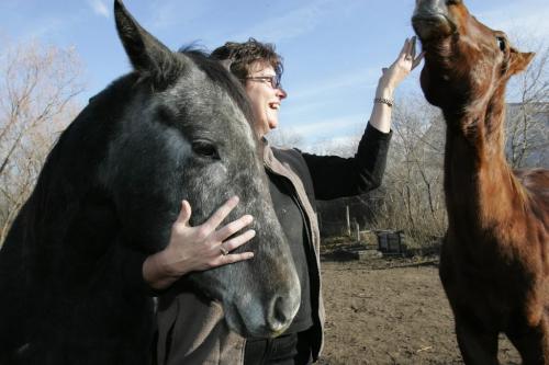 STEINBACH: NOVEMBER 17, 2004: KAREN SAINDON Karen Saindon, of Ste. Anne, laughs as she strokes the neck of a horse (right) while giving a therapeutic massage to Tommie, her three year old horse at AliDale Farms, just northeast of Steinbach, MB, on Wednesday afternoon. For story by Bill Redekop Photo by Marianne Helm/Winnipeg Free Press