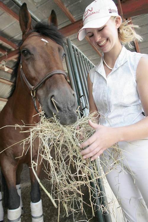 John Woods / Winnipeg Free Press / August 5 2006 - 060805 - Seventeen year old Claire Brosko feeds her horse Hello Newman some hay after she won second place Future Prix in the Heart of the Continent show jumping event at Red River Exhibition Park Saturday, August 5/06.