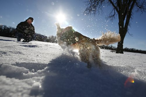 December 28, 2010 - 101228  -   Glen Denhard and his Juno enjoy the mild temperatures and hit the walking trails at Assiniboine Park on Tuesday, December 28, 2010. John Woods / Winnipeg Free Press