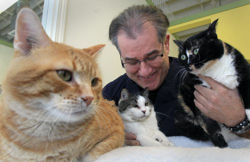 JOE.BRYKSA@FREEPRESS.MB.CALocal- ( see  Weibe story) - D'Arcy's Arc founder D'Arcy Johnston was one happy man in  his no kill facility Thursday Morning- After making a plea yesterday for funds to pay his unpaid hydro and vet bills Winnipeggers' donated over $2500 online , and  Hot 103 Ace Burpee show rallied 5 Winnipeg businesses on air this morning and raised over $5000 with a fundraising goal to pay the centers hydro bill for the entire year  -  JOE BRYKSA/WINNIPEG FREE PRESS- JAN 13, 2011