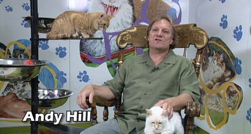 Andy Hill (kern hill furniture) - screen grab from a Winnipeg Humane Society video that has gone viral on youtube Kitty Midnight Madness Winnipeg Free Press