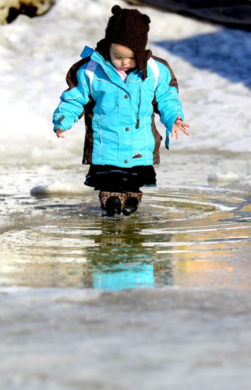 Ruth Bonneville Winnipeg Free Press Feb 15, 2011 Local Standup -  Two year old Kaylee Shaw walks through standing water on the banks of the Assiniboine River Tuesday afternoon as temperatures rose to 3 degrees C.