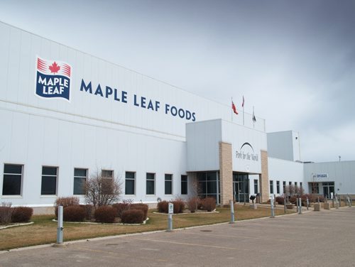Maple Leaf Foods, Brandon, Manitoba 2011. Maple Leaf Foods photo.