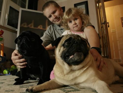 John Woods / Winnipeg Free Press / October 23, 2006 - 061023 - Kevin Ross and his daughter Hailey sit with his two purebred pugs Mindy (L) and Max Monday Oct 23/06.  Ross is the owner of Luvapug and breeds pugs.