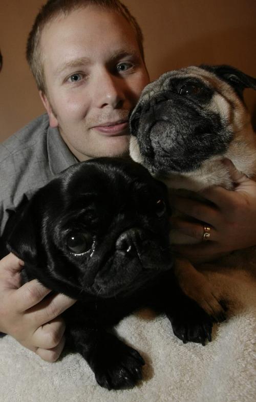 John Woods / Winnipeg Free Press / October 23, 2006 - 061023 - Kevin Ross cuddles with his two purebred pugs Mindy (L) and Max Monday Oct 23/06.  Ross is the owner of Luvapug and breeds pugs.