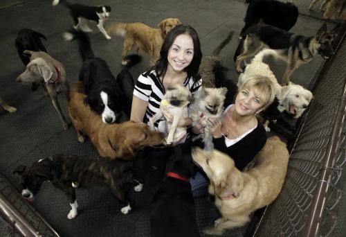 John Woods / Winnipeg Free Press / November 2, 2006 - 061102  - Jana-Ray (L) and Shelley Dufault are co-owners of Urban Canine.  They are photographed amongst some dogs in the doggy daycare Thursday Nov 2/06.