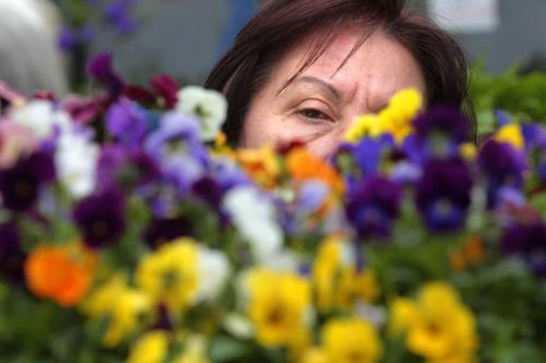 MIKE.DEAL@FREEPRESS.MB.CA 110604 - Saturday, June 04, 2011 -  Verona Cihi-Cingel has a look at some flowers for sale while at the opening day of the St. Norbert Farmer's Market. MIKE DEAL / WINNIPEG FREE PRESS