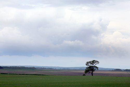 Brandon Sun Storm clouds roll across the prairie sky to the southwest of Brandon, Man., on Tuesday afternoon. (Bruce Bumstead/Brandon Sun)