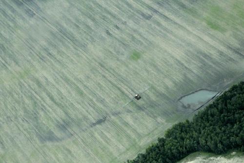 MIKE.DEAL@FREEPRESS.MB.CA 110621 - Tuesday, June 21, 2011 -  Doug Chorney, president Keystone Agricultural Producers flight over South Western Manitoba to check on the condition of farming fields. MIKE DEAL / WINNIPEG FREE PRESS