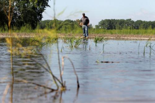 Doug Connery a commercial vegetable farmer near Portage la Prairie surveys his flood damaged field of asparagus that  still is water logged from spring flooding.   Saturday Special, Follow-up on Manitoba 2011 Flood by Melissa Martin. July 27, 2011 (RUTH BONNEVILLE / WINNIPEG FREE PRESS)